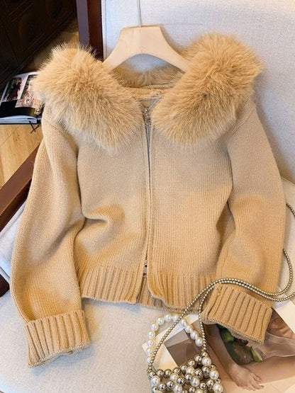 Roshni™  | Fur Hoodie