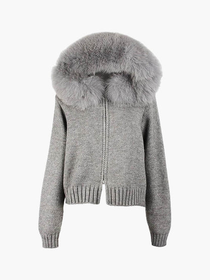 Roshni™  | Fur Hoodie